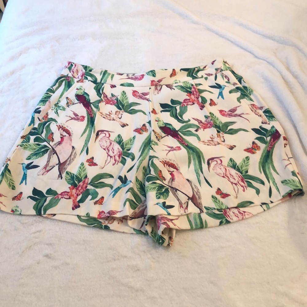 Beautiful Ann Taylor Shorts SZ 8